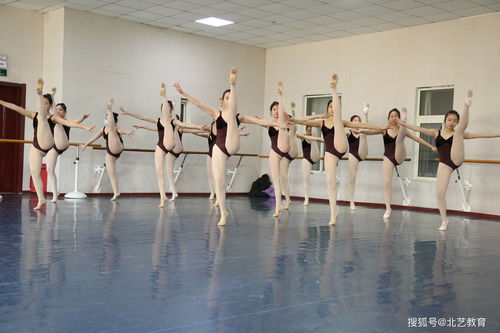 舞蹈班培訓學校,舞蹈培訓班機構